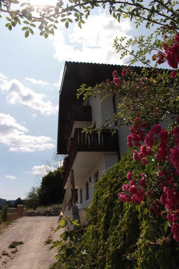 Ferienwohnung Conny Grobming Exterior foto